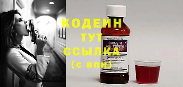 гашик Щигры