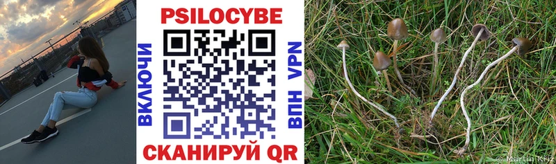 Галлюциногенные грибы Psilocybine cubensis Купить Мичуринск